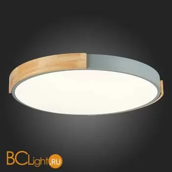 Потолочный светильник Evoluce Delia SLE201372-01 - Фото 8