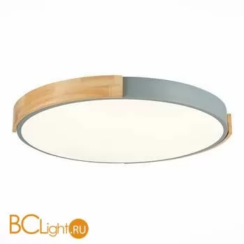 Потолочный светильник Evoluce Delia SLE201372-01 - Фото 1