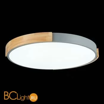 Потолочный светильник Evoluce Delia SLE201372-01 - Фото 6