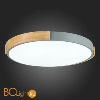 Потолочный светильник Evoluce Delia SLE201372-01 - Фото 9