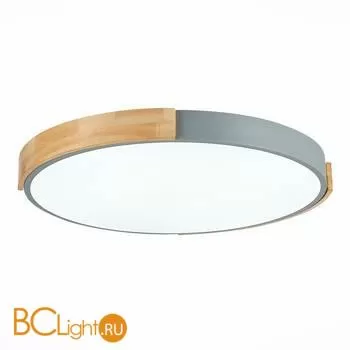 Потолочный светильник Evoluce Delia SLE201372-01 - Фото 2