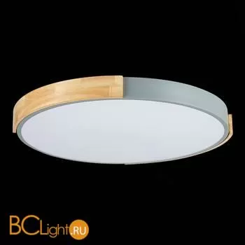 Потолочный светильник Evoluce Delia SLE201372-01 - Фото 7