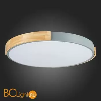 Потолочный светильник Evoluce Delia SLE201372-01 - Фото 10