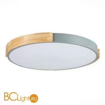 Потолочный светильник Evoluce Delia SLE201372-01 - Фото 3