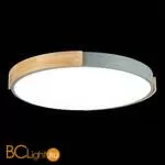 Потолочный светильник Evoluce Delia SLE201372-01 - Фото 4