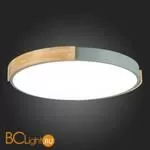 Потолочный светильник Evoluce Delia SLE201372-01