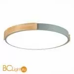 Потолочный светильник Evoluce Delia SLE201372-01 - Фото 0