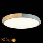 Потолочный светильник Evoluce Delia SLE201372-01 - Фото 5