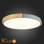 Потолочный светильник Evoluce Delia SLE201372-01 - Фото 8