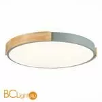 Потолочный светильник Evoluce Delia SLE201372-01 - Фото 1