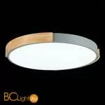 Потолочный светильник Evoluce Delia SLE201372-01 - Фото 6