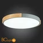 Потолочный светильник Evoluce Delia SLE201372-01 - Фото 9