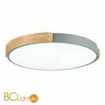 Потолочный светильник Evoluce Delia SLE201372-01 - Фото 2