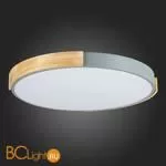 Потолочный светильник Evoluce Delia SLE201372-01 - Фото 10