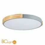 Потолочный светильник Evoluce Delia SLE201372-01 - Фото 3