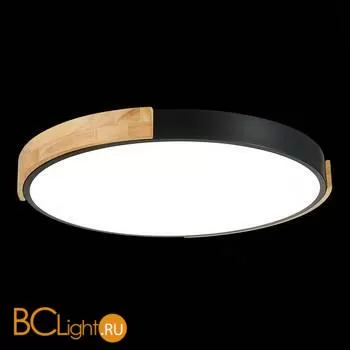 Потолочный светильник Evoluce Delia SLE201342-01 - Фото 4