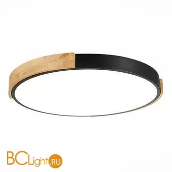 Потолочный светильник Evoluce Delia SLE201342-01 - Фото 0