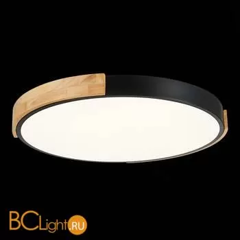 Потолочный светильник Evoluce Delia SLE201342-01 - Фото 5