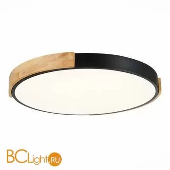 Потолочный светильник Evoluce Delia SLE201342-01 - Фото 1