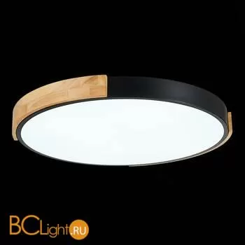 Потолочный светильник Evoluce Delia SLE201342-01 - Фото 6