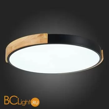 Потолочный светильник Evoluce Delia SLE201342-01 - Фото 9