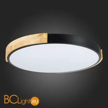 Потолочный светильник Evoluce Delia SLE201342-01 - Фото 10