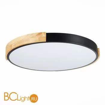 Потолочный светильник Evoluce Delia SLE201342-01 - Фото 3