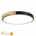 Потолочный светильник Evoluce Delia SLE201342-01 - Фото 0