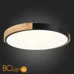 Потолочный светильник Evoluce Delia SLE201342-01