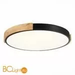 Потолочный светильник Evoluce Delia SLE201342-01 - Фото 1