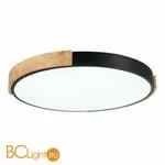 Потолочный светильник Evoluce Delia SLE201342-01 - Фото 2