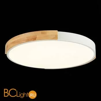 Потолочный светильник Evoluce Delia SLE201352-01 - Фото 4