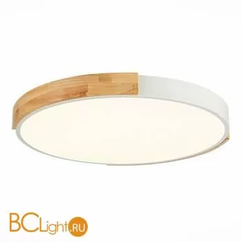 Потолочный светильник Evoluce Delia SLE201352-01 - Фото 1