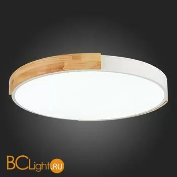 Потолочный светильник Evoluce Delia SLE201352-01 - Фото 9