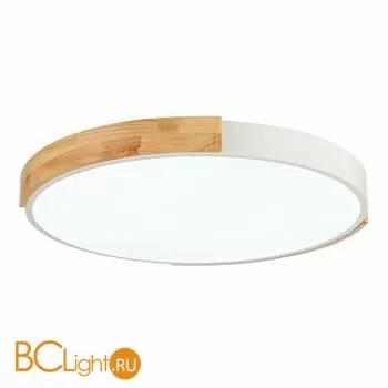 Потолочный светильник Evoluce Delia SLE201352-01 - Фото 2