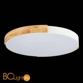 Потолочный светильник Evoluce Delia SLE201352-01 - Фото 6