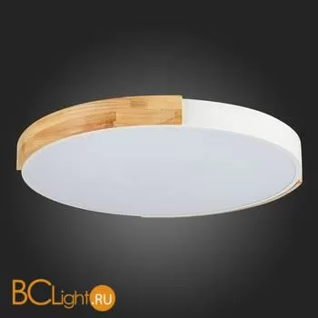 Потолочный светильник Evoluce Delia SLE201352-01 - Фото 10