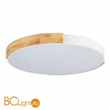 Потолочный светильник Evoluce Delia SLE201352-01 - Фото 3