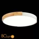 Потолочный светильник Evoluce Delia SLE201352-01