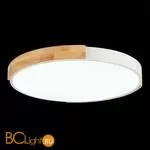 Потолочный светильник Evoluce Delia SLE201352-01 - Фото 5