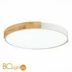 Потолочный светильник Evoluce Delia SLE201352-01 - Фото 2