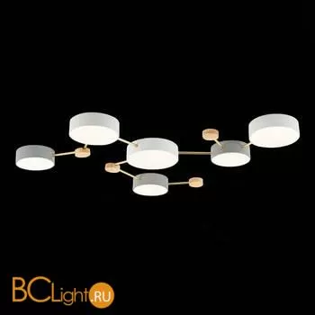 Потолочный светильник Evoluce Dossena SLE600102-06