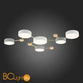 Потолочный светильник Evoluce Dossena SLE600102-06 - Фото 4