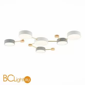 Потолочный светильник Evoluce Dossena SLE600102-06 - Фото 0