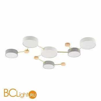 Потолочный светильник Evoluce Dossena SLE600102-06 - Фото 1