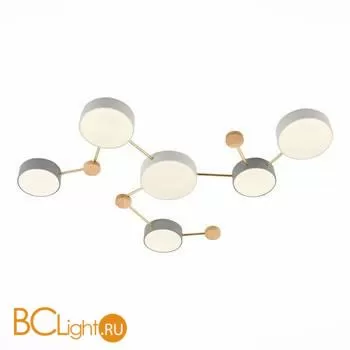 Потолочный светильник Evoluce Dossena SLE600102-06 - Фото 2