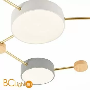 Потолочный светильник Evoluce Dossena SLE600102-06 - Фото 3