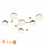 Потолочный светильник Evoluce Dossena SLE600102-06 - Фото 2