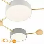 Потолочный светильник Evoluce Dossena SLE600102-06 - Фото 3