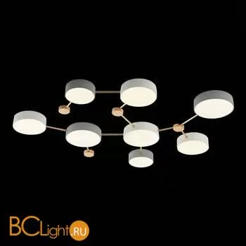 Потолочный светильник Evoluce Dossena SLE600102-08